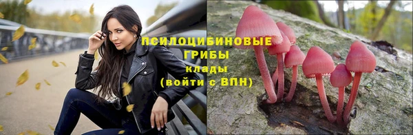 индика Зерноград