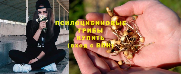 индика Зерноград