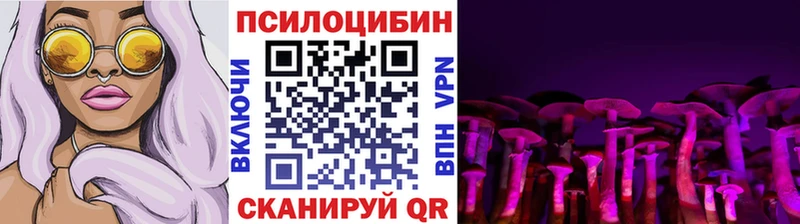 мега ссылки  Сенгилей  Галлюциногенные грибы GOLDEN TEACHER  купить  сайты 